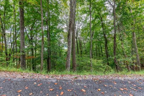 Lot 20 Buckhead Hills Hiawassee GA 30546