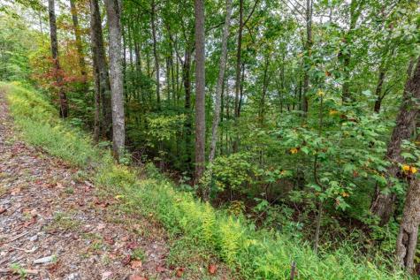 Lot 20 Buckhead Hills Hiawassee GA 30546