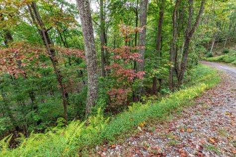 Lot 20 Buckhead Hills Hiawassee GA 30546