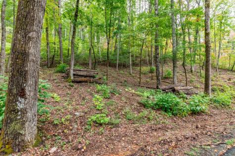 Lot 20 Buckhead Hills Hiawassee GA 30546