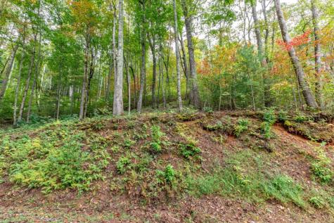 Lot 20 Buckhead Hills Hiawassee GA 30546