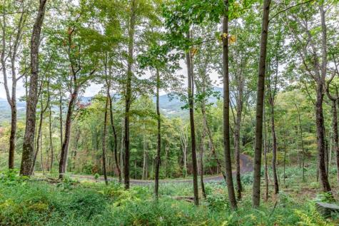 Lot 20 Buckhead Hills Hiawassee GA 30546