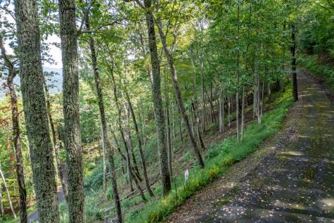 Lot 20 Buckhead Hills Hiawassee GA 30546