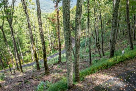Lot 20 Buckhead Hills Hiawassee GA 30546