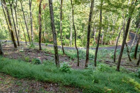 Lot 20 Buckhead Hills Hiawassee GA 30546