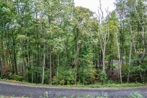 Lot 20 Buckhead Hills Hiawassee GA 30546