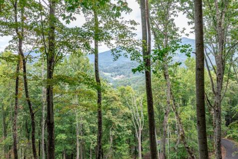 Lot 20 Buckhead Hills Hiawassee GA 30546