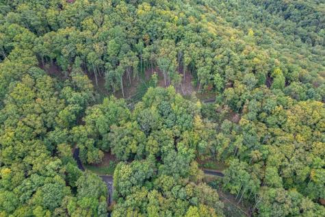 Lot 20 Buckhead Hills Hiawassee GA 30546