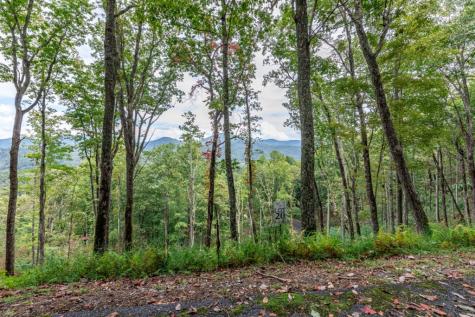 Lot 20 Buckhead Hills Hiawassee GA 30546