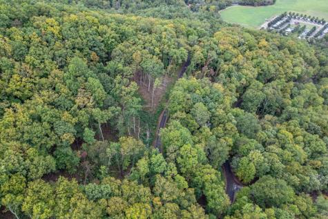 Lot 20 Buckhead Hills Hiawassee GA 30546