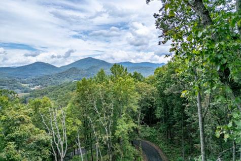 Lot 20 Buckhead Hills Hiawassee GA 30546