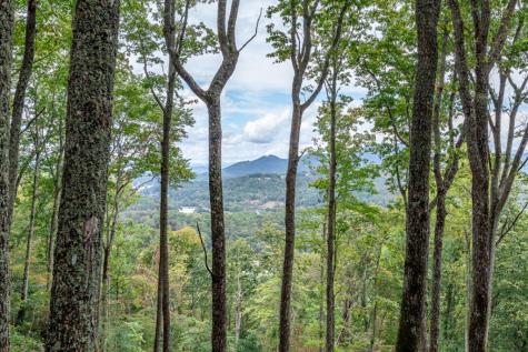 Lot 20 Buckhead Hills Hiawassee GA 30546
