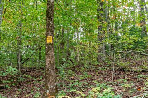 Lot 20 Buckhead Hills Hiawassee GA 30546