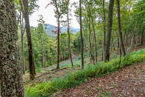 Lot 20 Buckhead Hills Hiawassee GA 30546