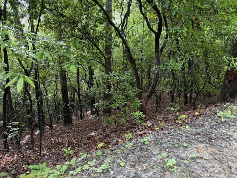 Lot 28 Atoah Loop Murphy NC 28906