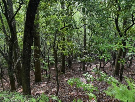 Lot 28 Atoah Loop Murphy NC 28906