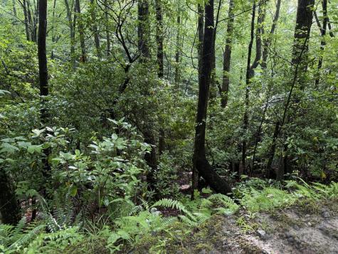 Lot 28 Atoah Loop Murphy NC 28906