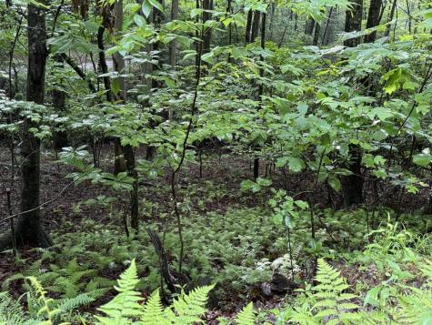 Lot 28 Atoah Loop Murphy NC 28906