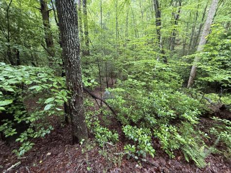 Lot 28 Atoah Loop Murphy NC 28906