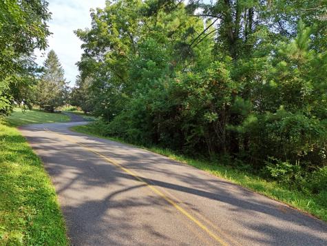 Lot 4 Butterfly Lane Blairsville GA 30512