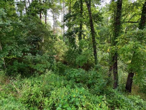 Lot 4 Butterfly Lane Blairsville GA 30512