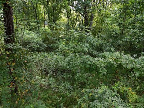 Lot 4 Butterfly Lane Blairsville GA 30512