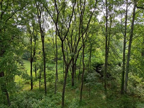 Lot 4 Butterfly Lane Blairsville GA 30512
