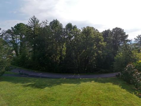 Lot 4 Butterfly Lane Blairsville GA 30512
