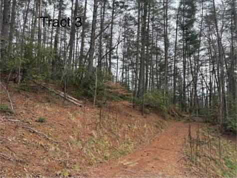 Tract 3 Fain Branch Road Blairsville GA 30512