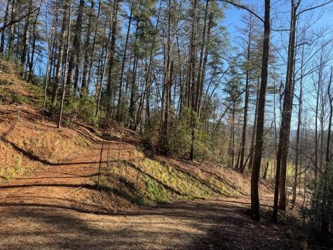 Tract 3 Fain Branch Road Blairsville GA 30512