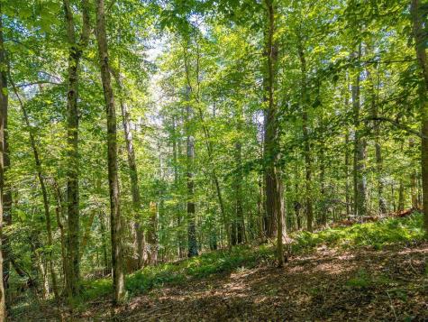 Lot 100 River Oaks Terrace Ellijay GA 30536