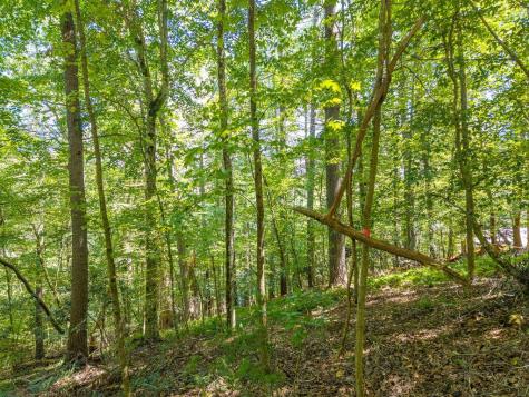 Lot 100 River Oaks Terrace Ellijay GA 30536