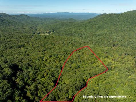Lot 4 Wilderness Way Ellijay GA 30536