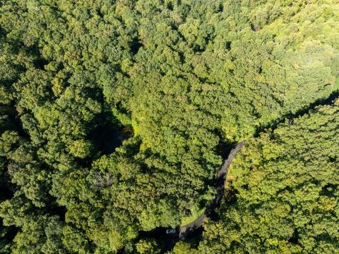 Lot 4 Wilderness Way Ellijay GA 30536