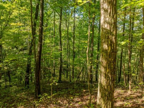 Lot 4 Wilderness Way Ellijay GA 30536