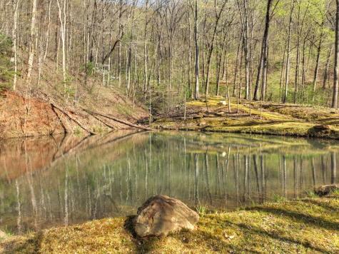 Lot 4 Wilderness Way Ellijay GA 30536