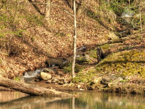 Lot 4 Wilderness Way Ellijay GA 30536