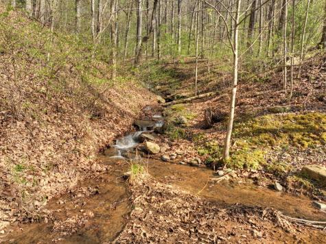 Lot 4 Wilderness Way Ellijay GA 30536