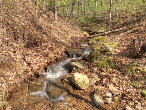 Lot 4 Wilderness Way Ellijay GA 30536
