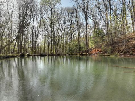 Lot 4 Wilderness Way Ellijay GA 30536