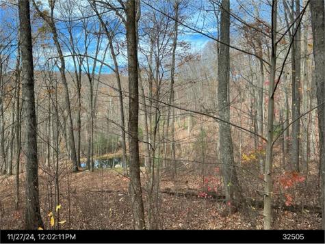Lot 4 Wilderness Way Ellijay GA 30536
