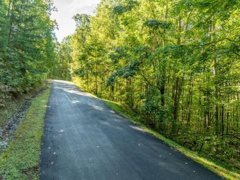 Lot 4 Wilderness Way Ellijay GA 30536