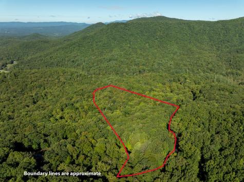 Lot 4 Wilderness Way Ellijay GA 30536
