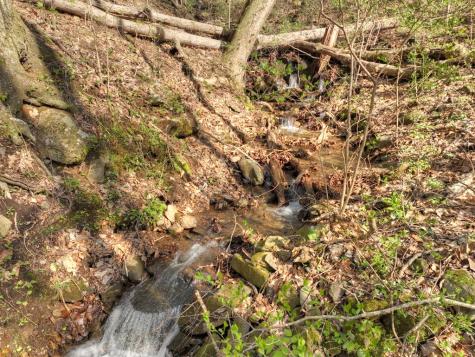 Lot 4 Wilderness Way Ellijay GA 30536