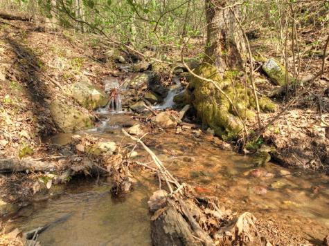 Lot 4 Wilderness Way Ellijay GA 30536