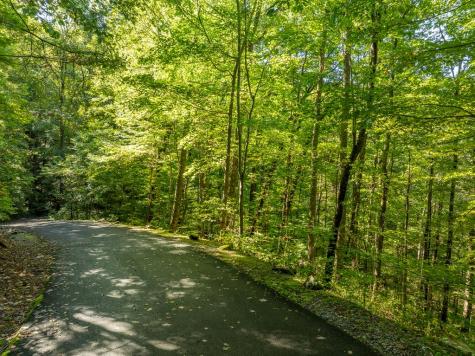 Lot 4 Wilderness Way Ellijay GA 30536