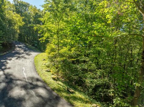 Lot 4 Wilderness Way Ellijay GA 30536