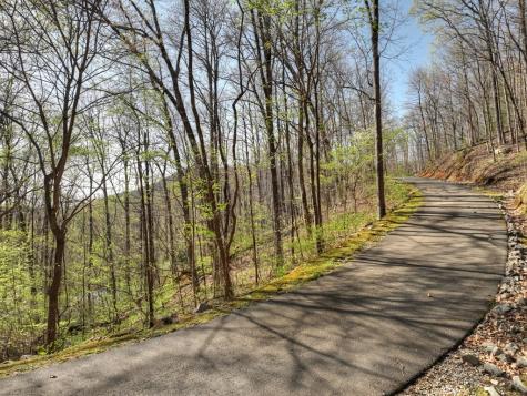 Lot 4 Wilderness Way Ellijay GA 30536