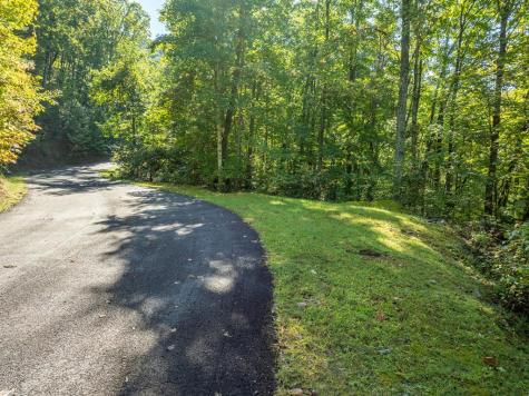 Lot 4 Wilderness Way Ellijay GA 30536