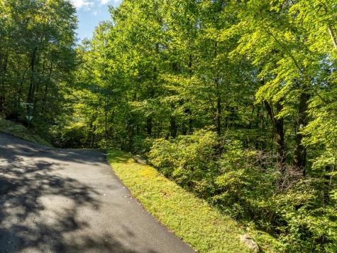 Lot 4 Wilderness Way Ellijay GA 30536